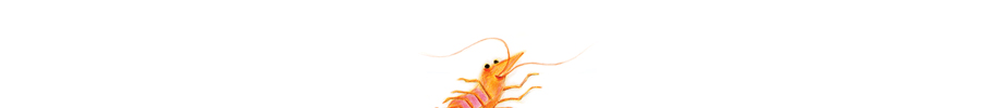 Happyshrimp logo Startseite